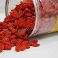 Níspero, goji, fruta seca